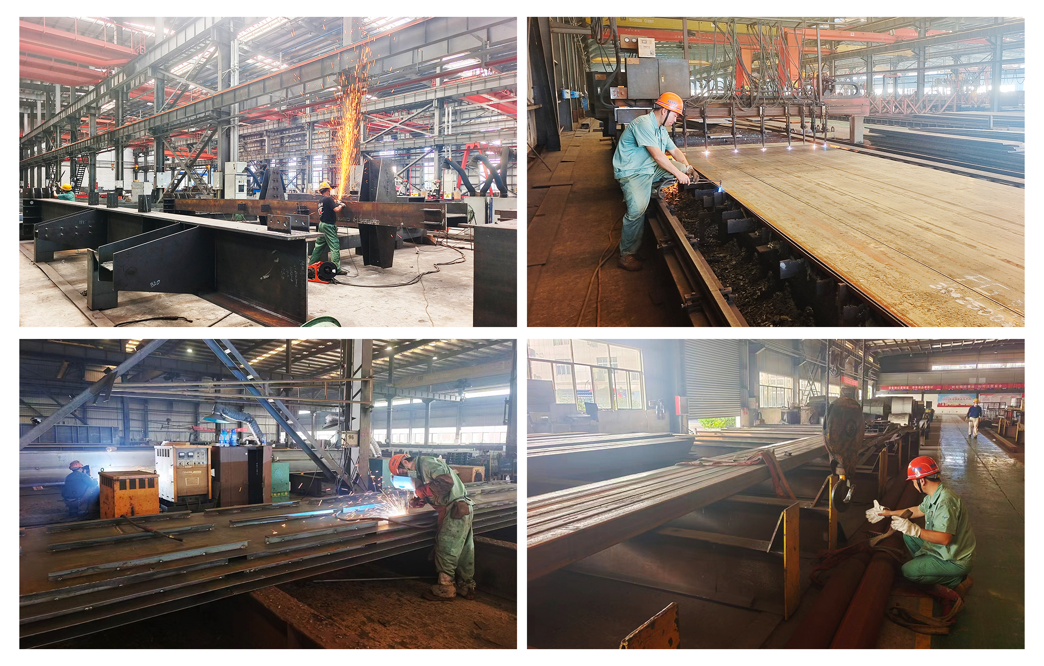 ����ϣ����williamhill(�й�)���Ĺ���