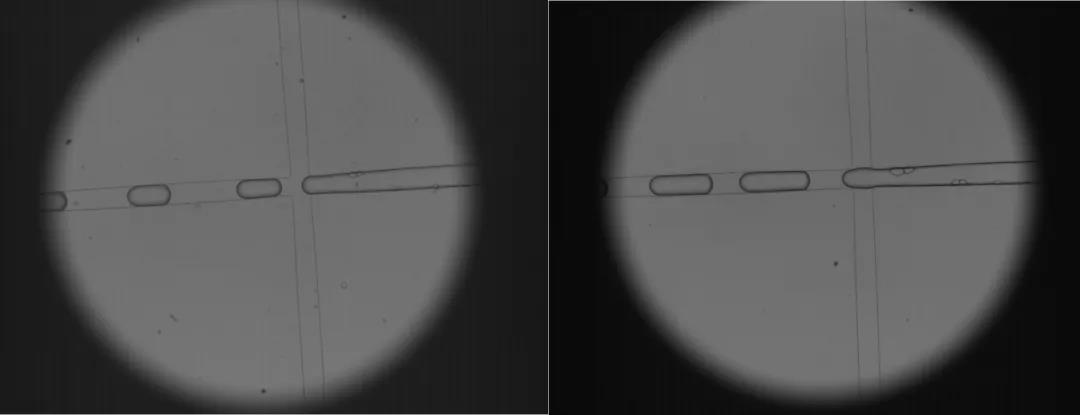 ����ϣ����williamhill(�й�)���Ĺ���