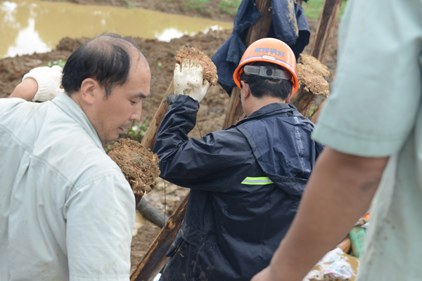 ����ϣ����williamhill(�й�)���Ĺ���