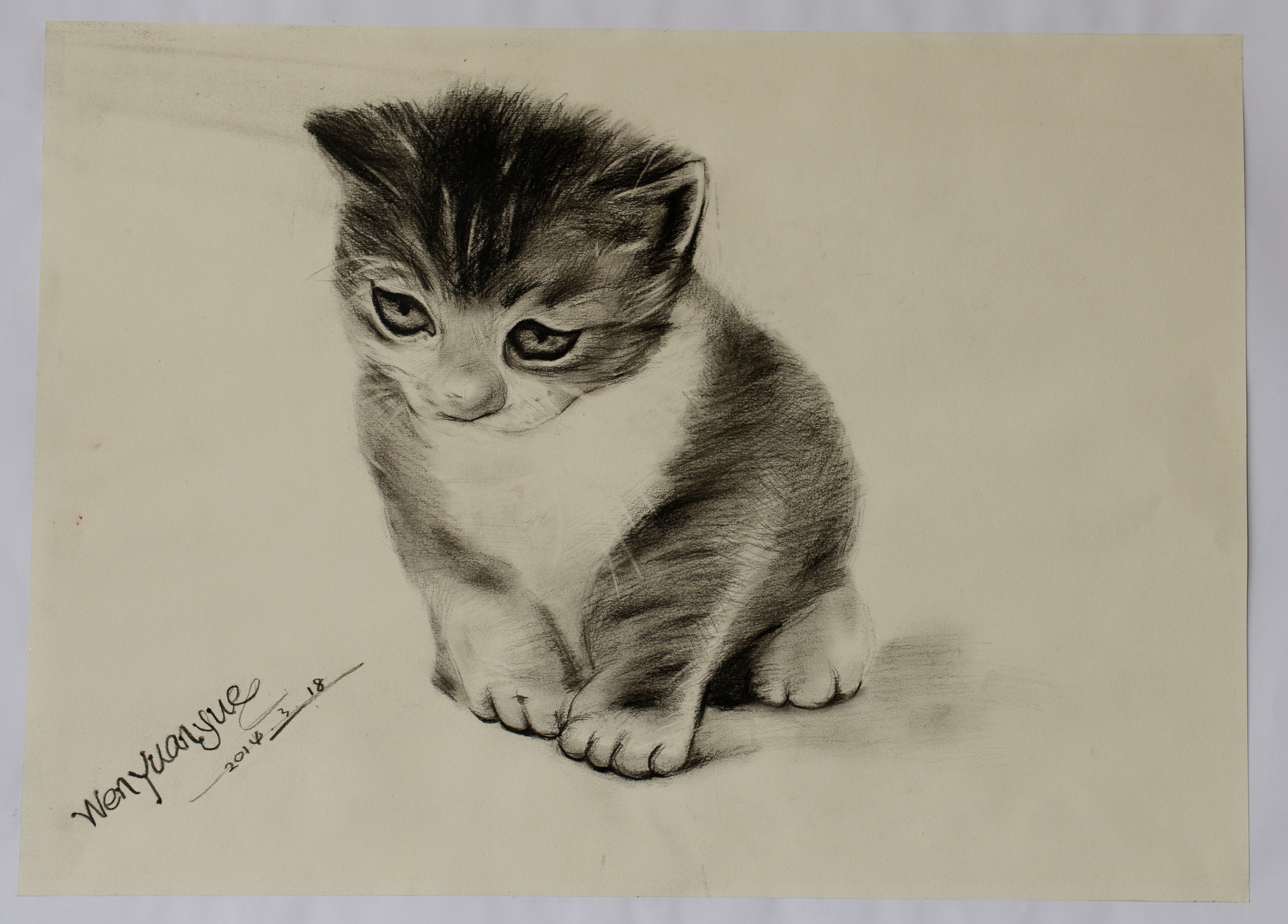 ����ϣ����williamhill(�й�)���Ĺ���