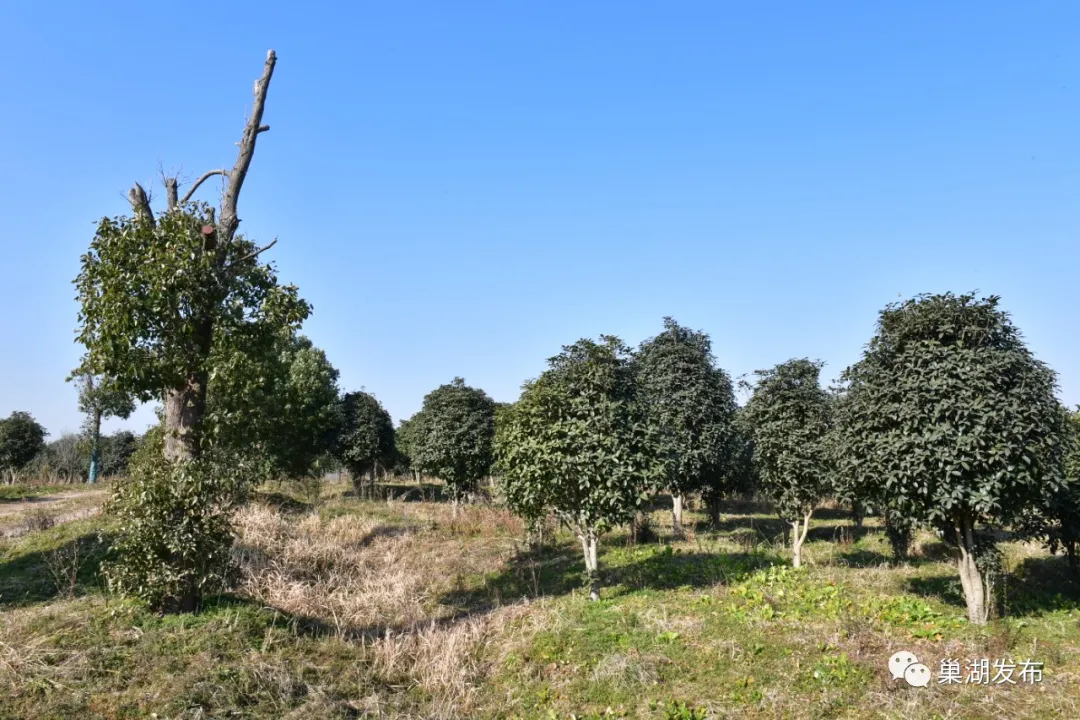 ����ϣ����williamhill(�й�)���Ĺ���