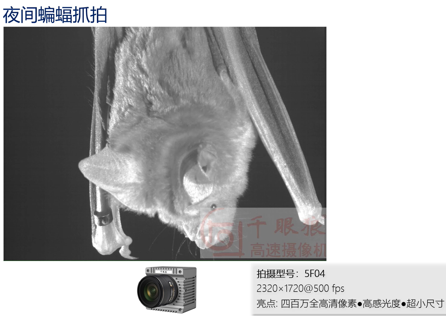 ����ϣ����williamhill(�й�)���Ĺ���