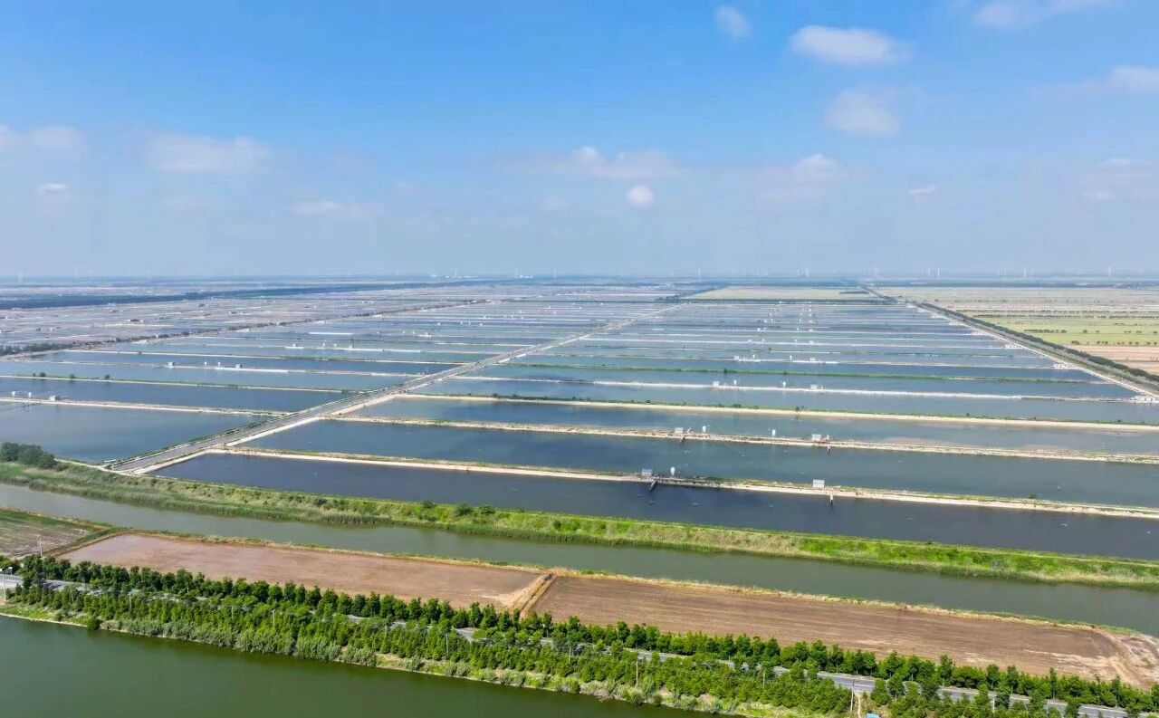 ����ϣ����williamhill(�й�)���Ĺ���