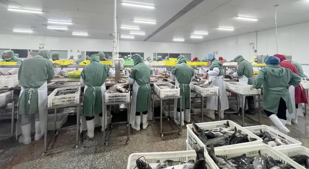 ����ϣ����williamhill(�й�)���Ĺ���