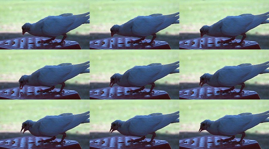 ����ϣ����williamhill(�й�)���Ĺ���