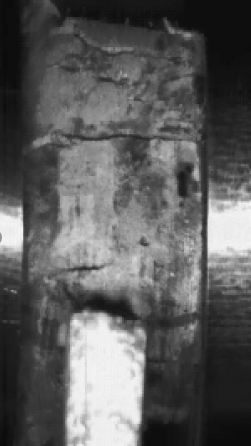 ����ϣ����williamhill(�й�)���Ĺ���