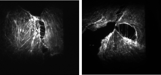 威廉希尔·williamhill(中国)中文官网