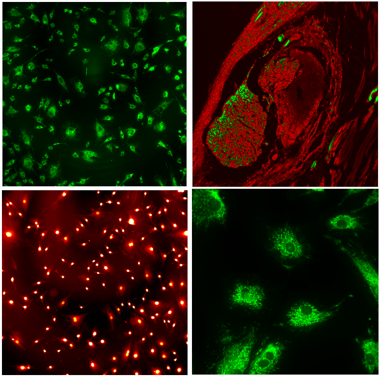威廉希尔·williamhill(中国)中文官网
