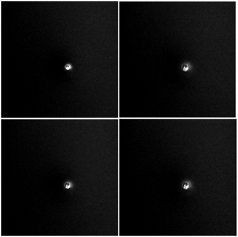 威廉希尔·williamhill(中国)中文官网